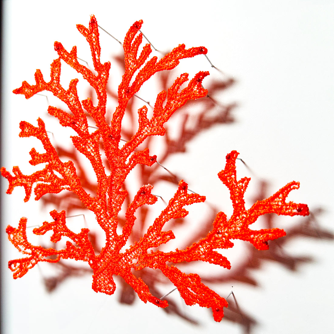 Cross-stitch Coral II